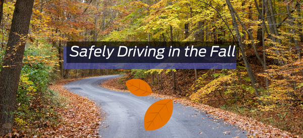 Safely Driving in the Fall