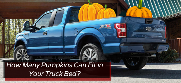 How Many Pumpkins Can Fit In Your Truck bed?